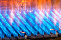 Shawtonhill gas fired boilers